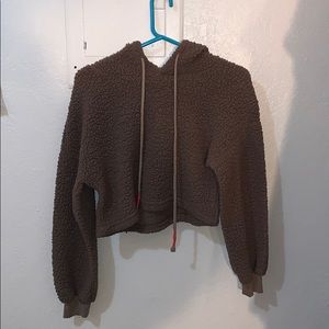 Brown Teddy Bear crop sweater